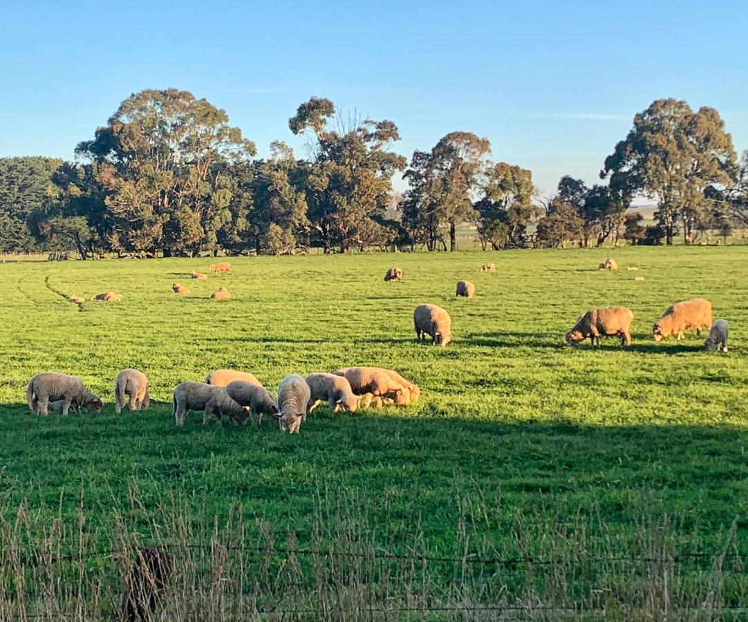 The Lancefield Lodge Lance Field Dış mekan fotoğraf